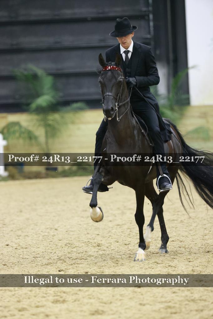 Proof 24R13_22177