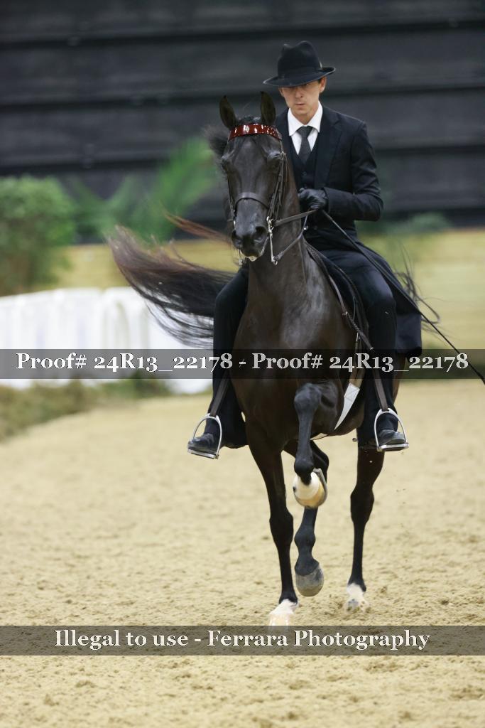 Proof 24R13_22178