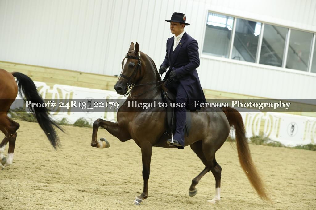 Proof 24R13_22179