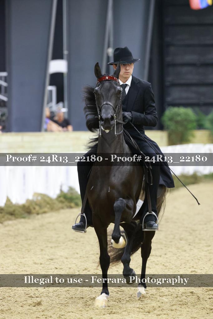 Proof 24R13_22180