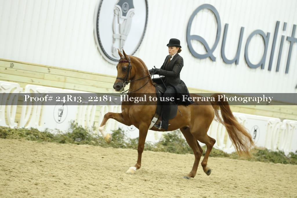 Proof 24R13_22181