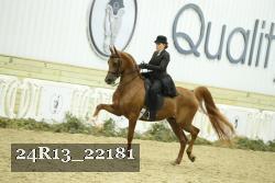 24R13_22181 proof