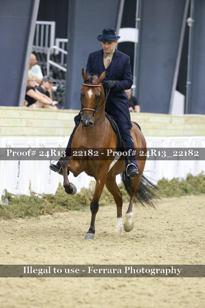 Proof 24R13_22182