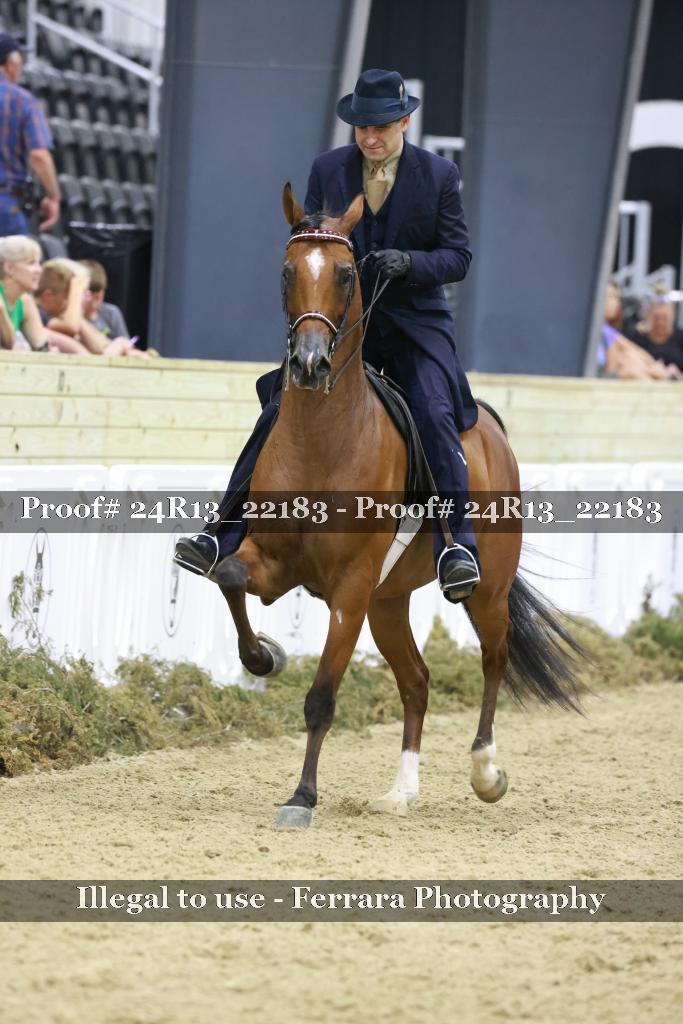 Proof 24R13_22183