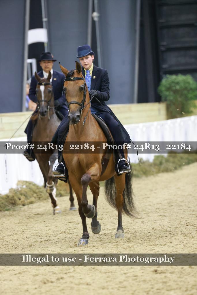 Proof 24R13_22184