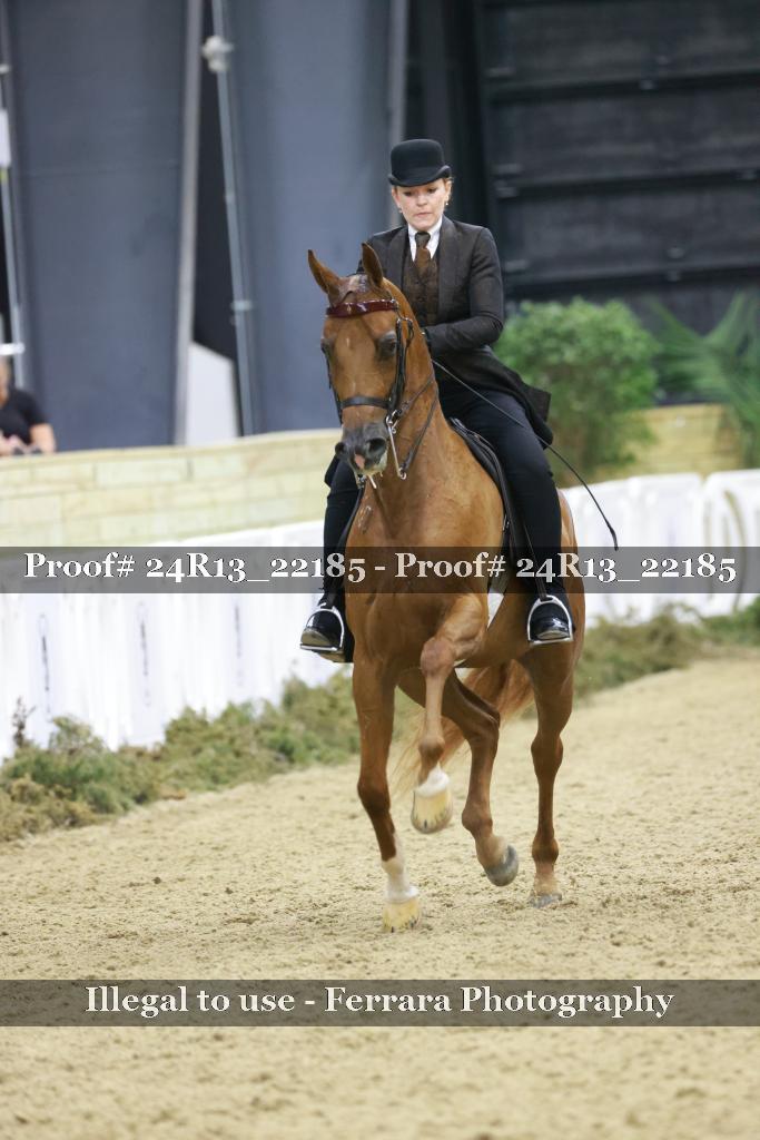 Proof 24R13_22185