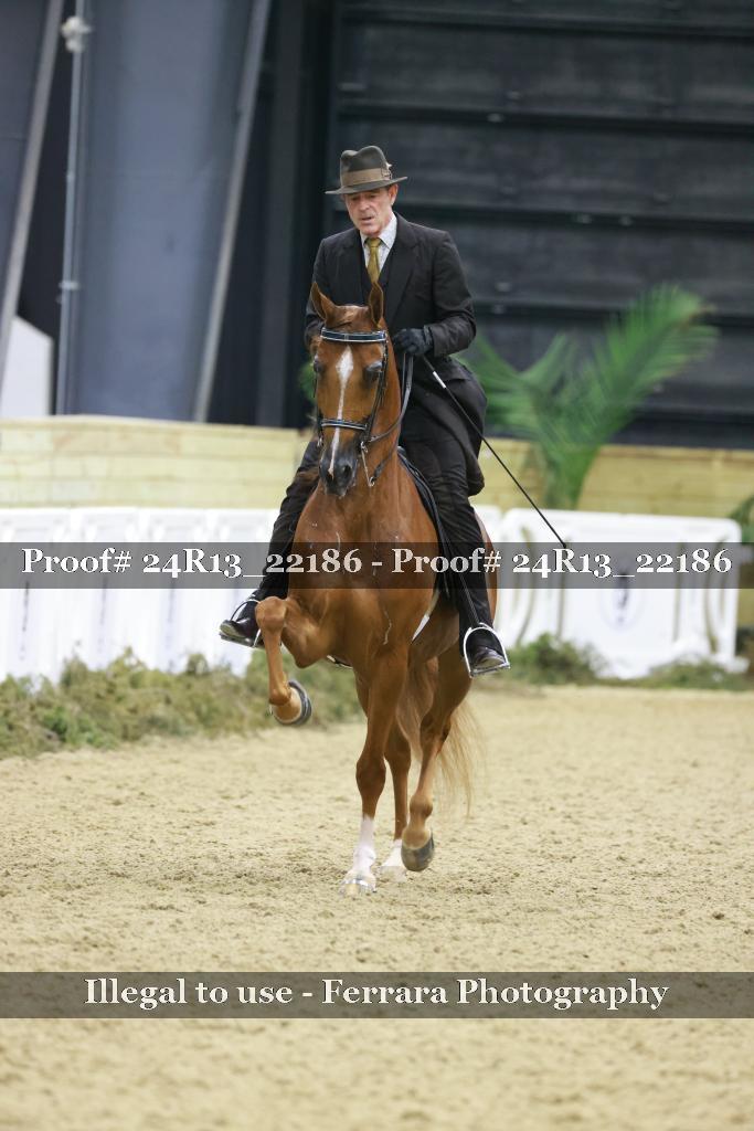Proof 24R13_22186