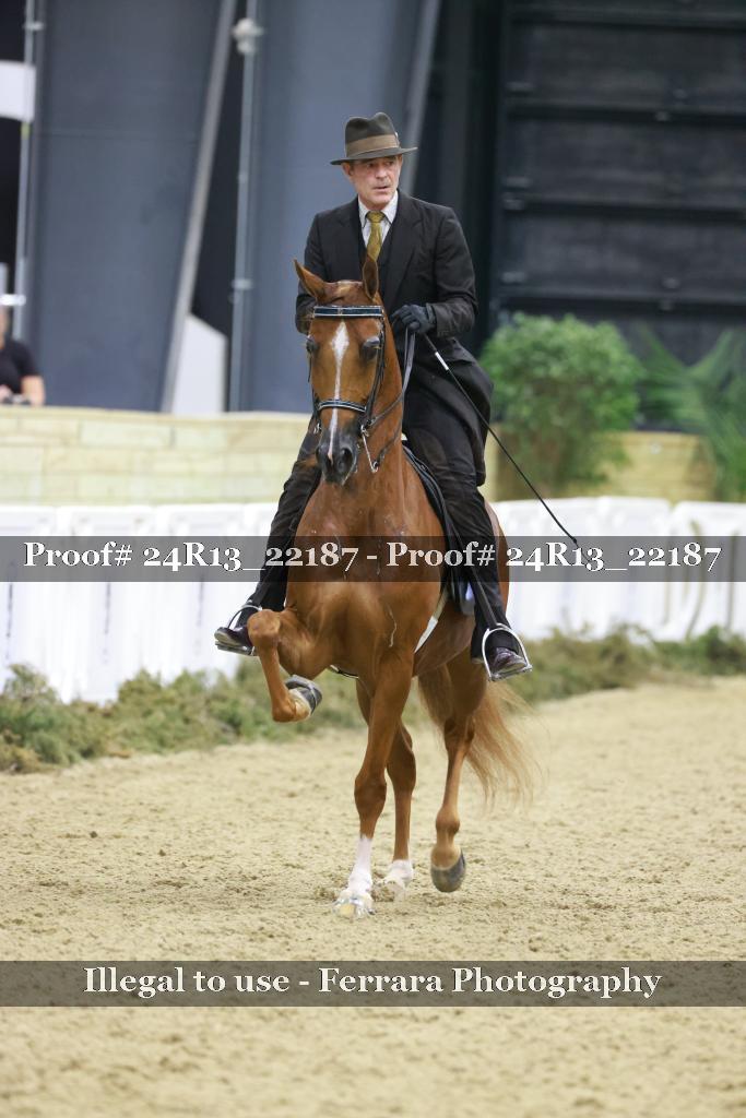 Proof 24R13_22187