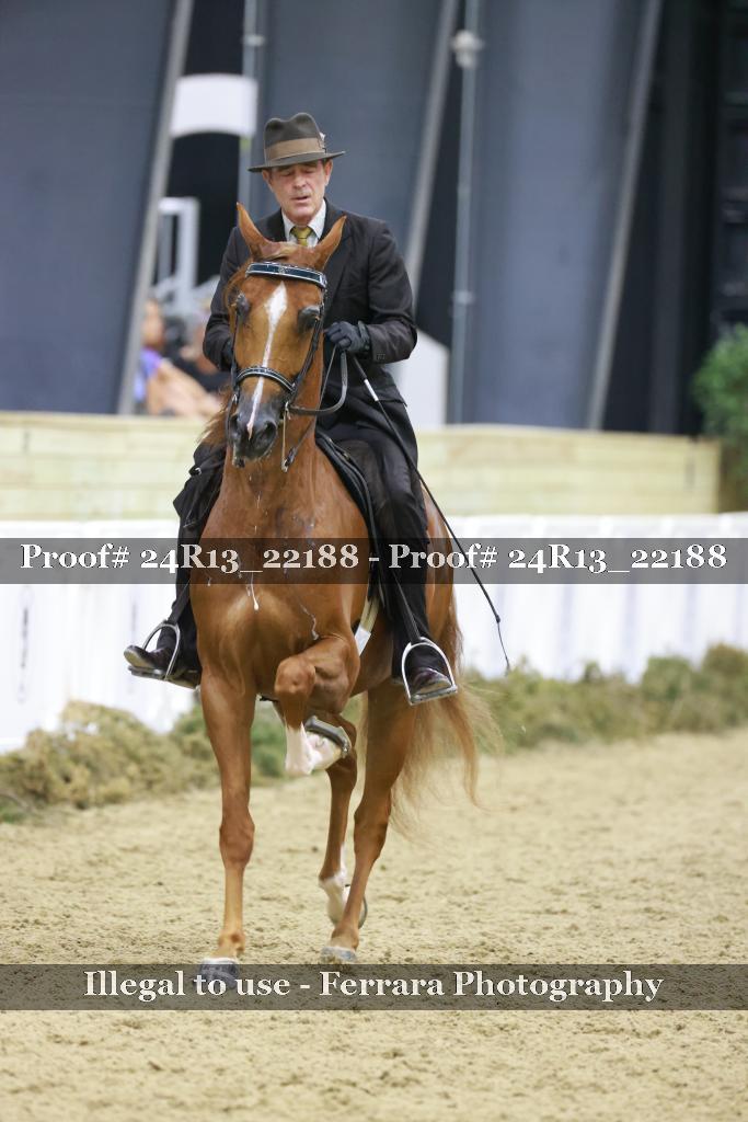 Proof 24R13_22188