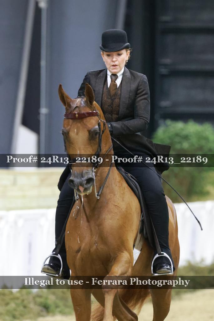 Proof 24R13_22189