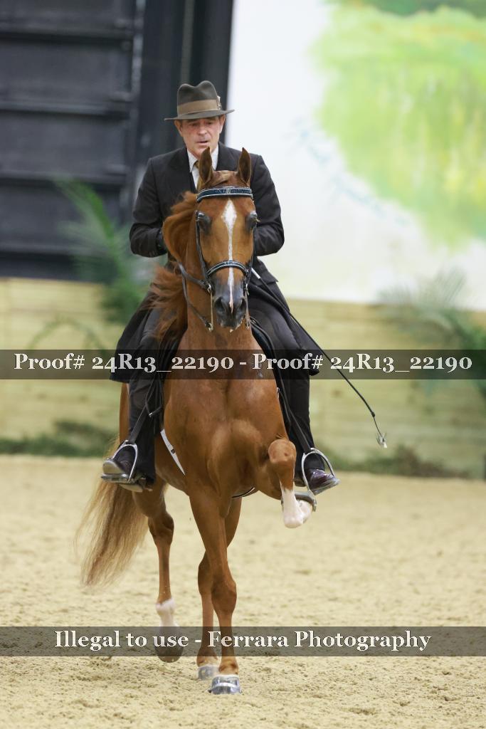 Proof 24R13_22190