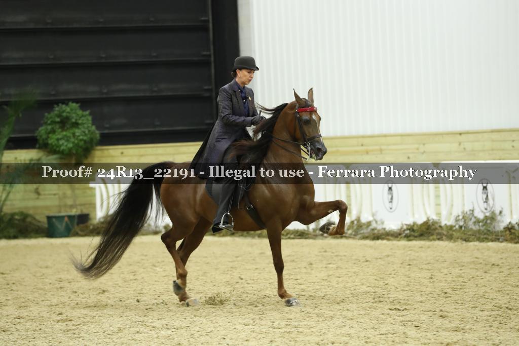 Proof 24R13_22191