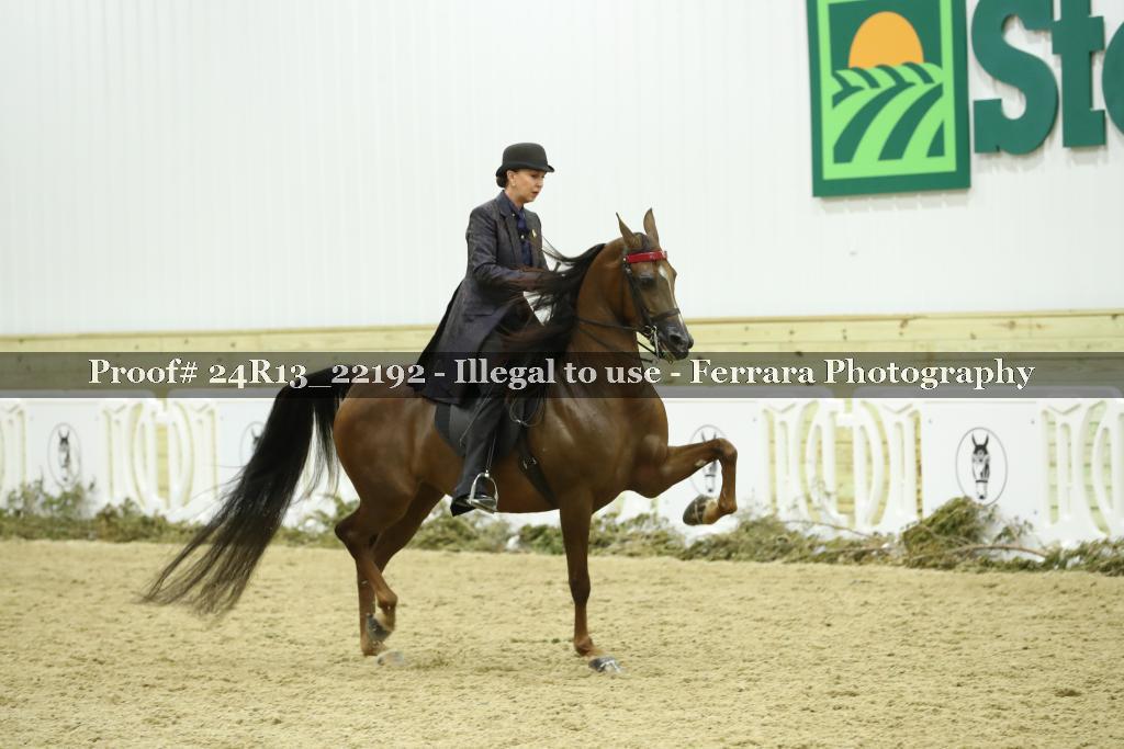 Proof 24R13_22192