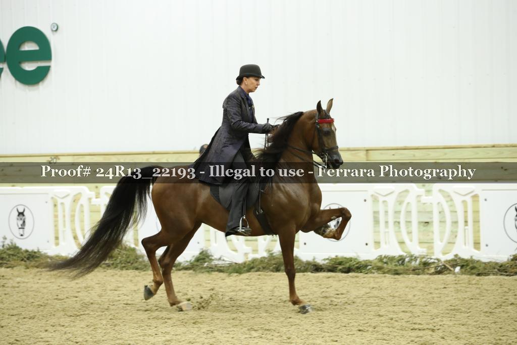 Proof 24R13_22193