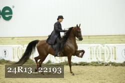 24R13_22193 proof