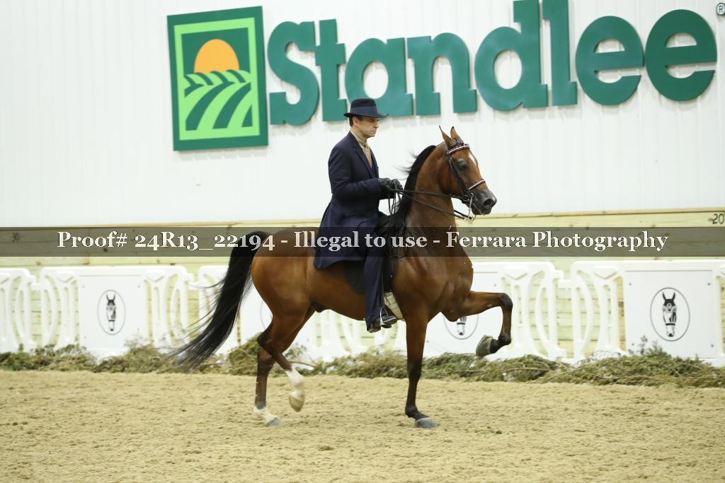 Proof 24R13_22194