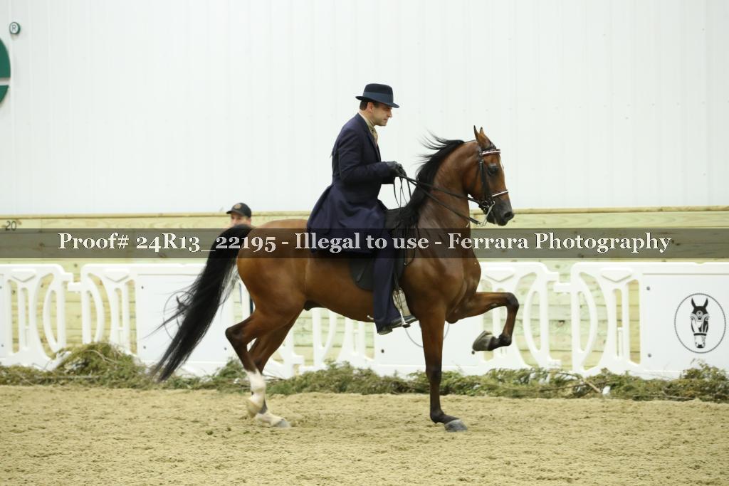 Proof 24R13_22195