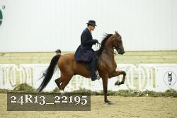 24R13_22195 proof