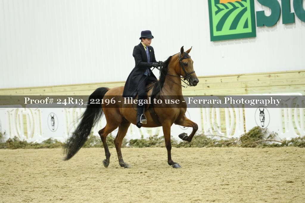 Proof 24R13_22196