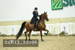 24R13_22196 proof