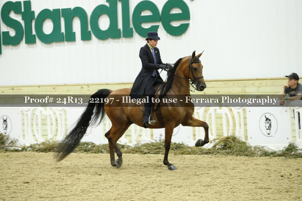 Proof 24R13_22197