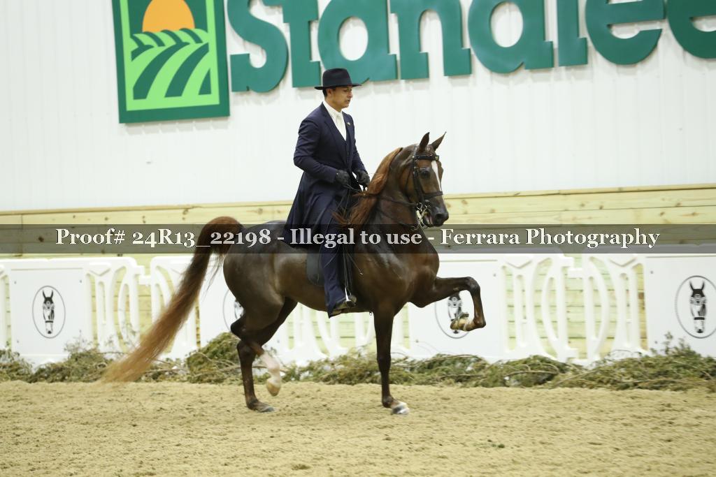 Proof 24R13_22198