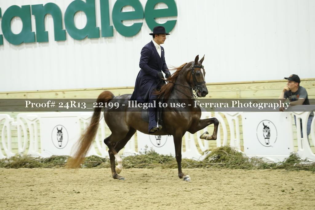 Proof 24R13_22199