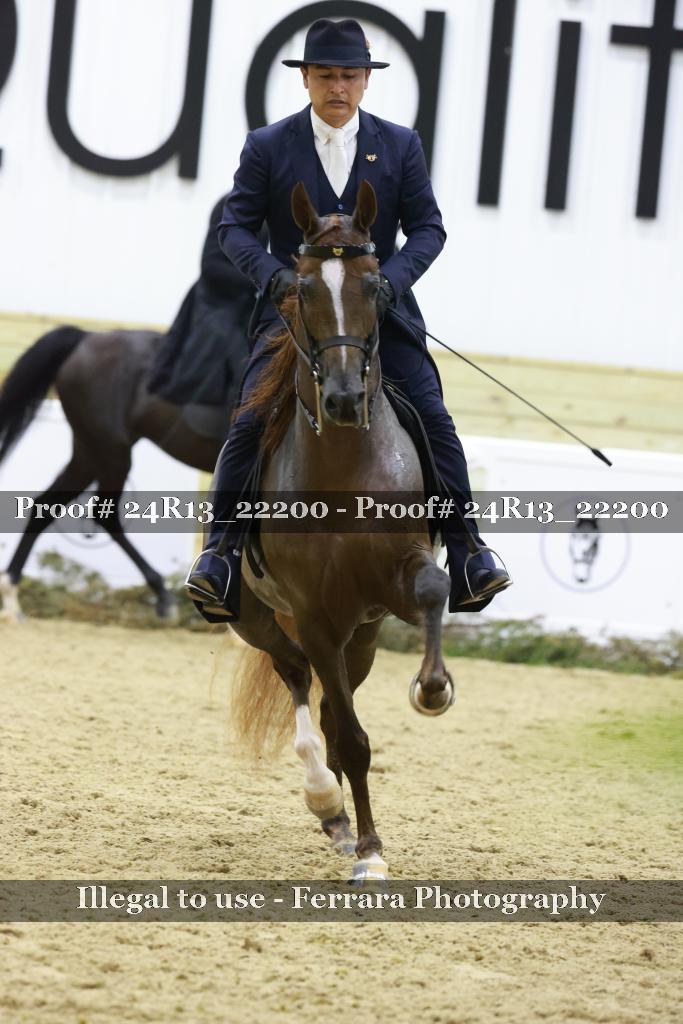 Proof 24R13_22200