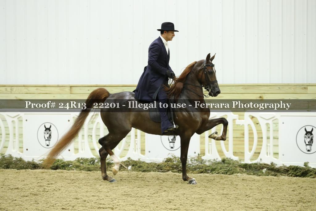 Proof 24R13_22201