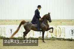 24R13_22201 proof