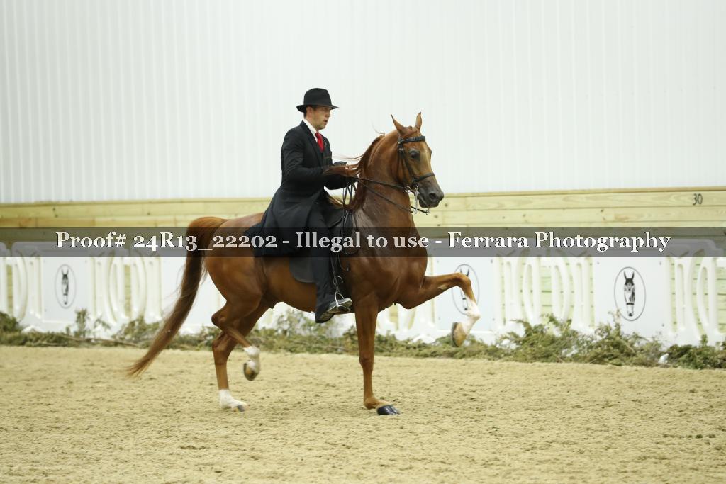 Proof 24R13_22202