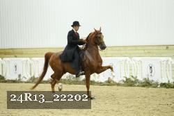 24R13_22202 proof