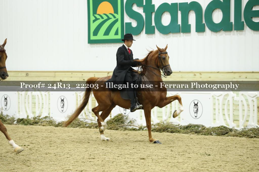 Proof 24R13_22203