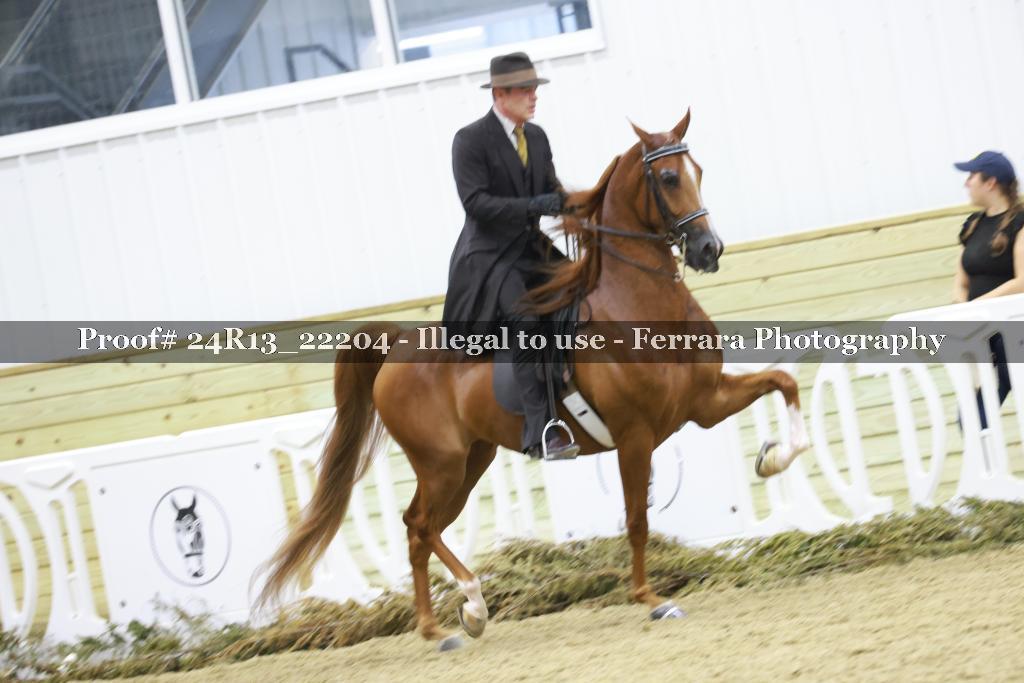 Proof 24R13_22204