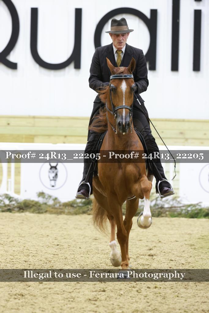 Proof 24R13_22205