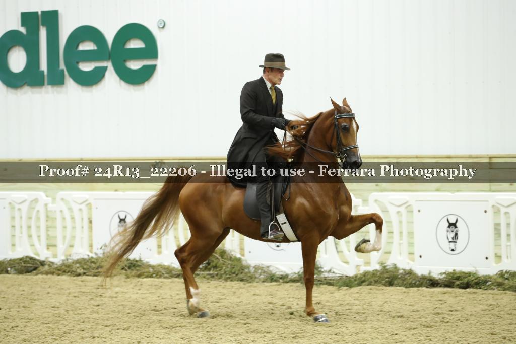 Proof 24R13_22206