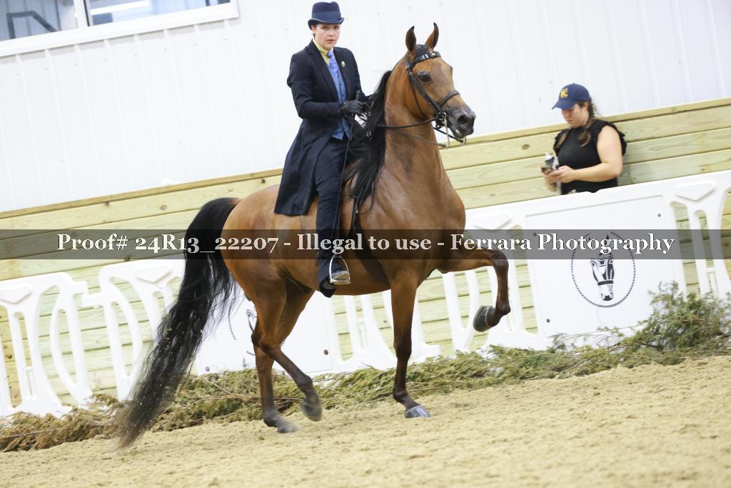 Proof 24R13_22207