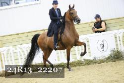 24R13_22207 proof
