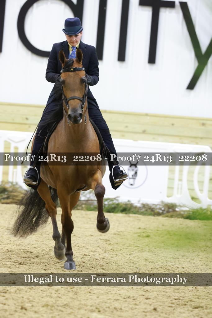 Proof 24R13_22208