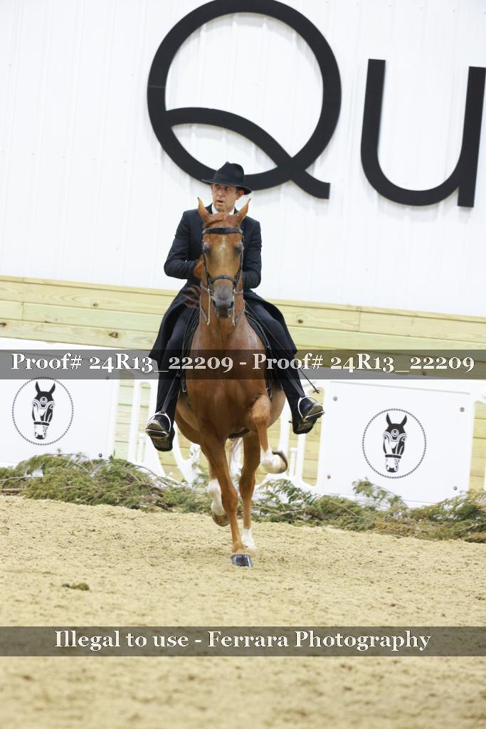 Proof 24R13_22209