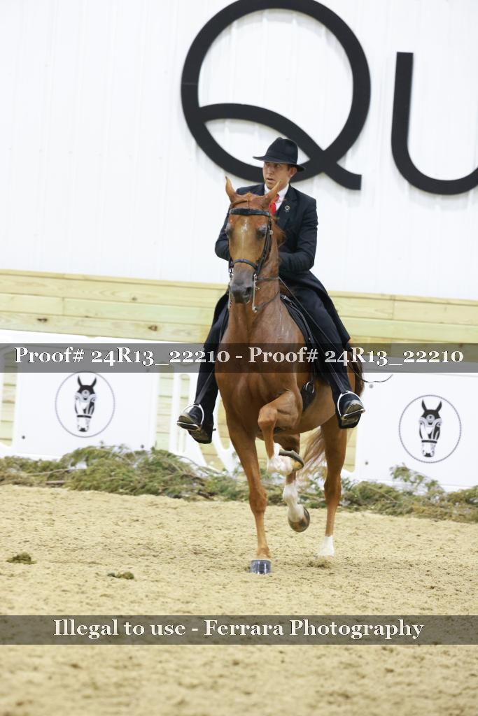 Proof 24R13_22210