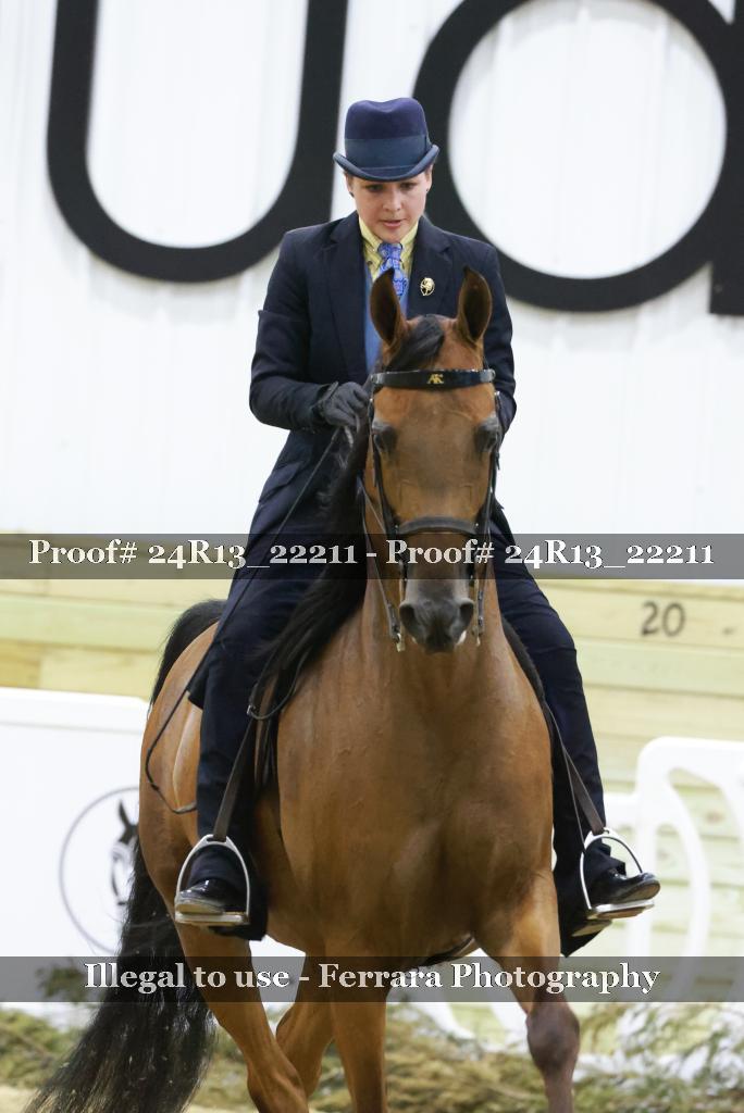 Proof 24R13_22211