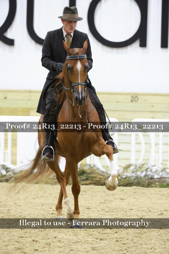 Proof 24R13_22213