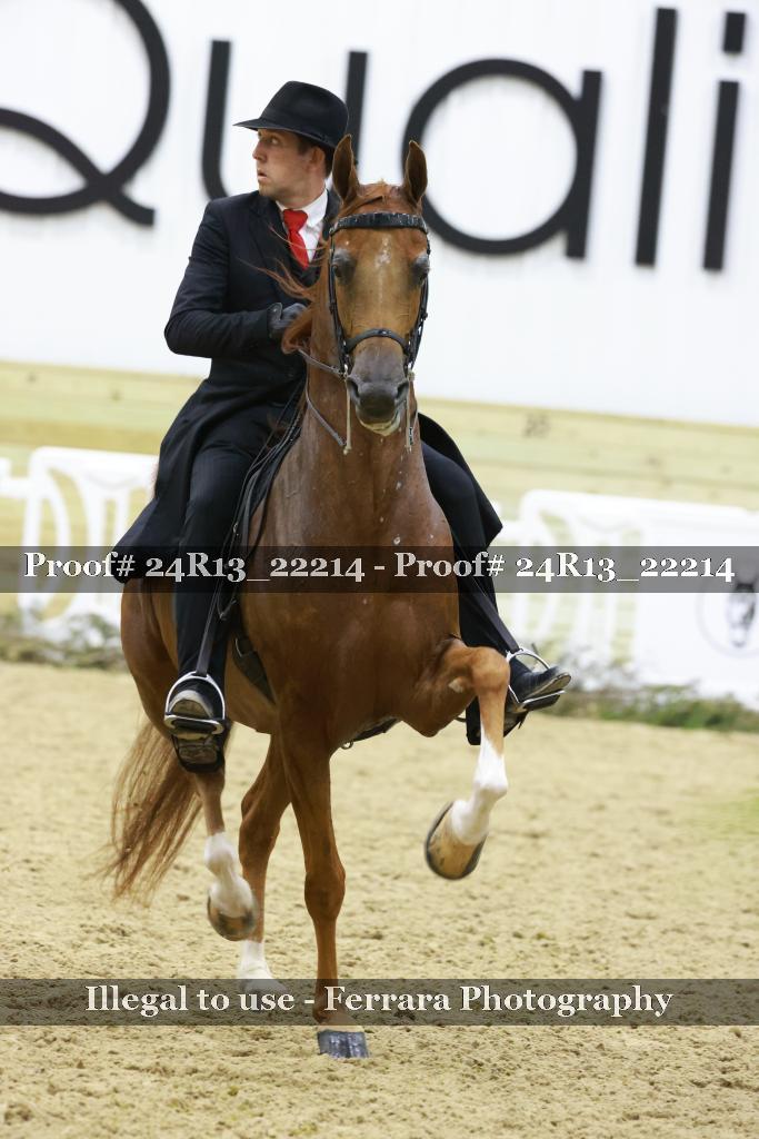 Proof 24R13_22214