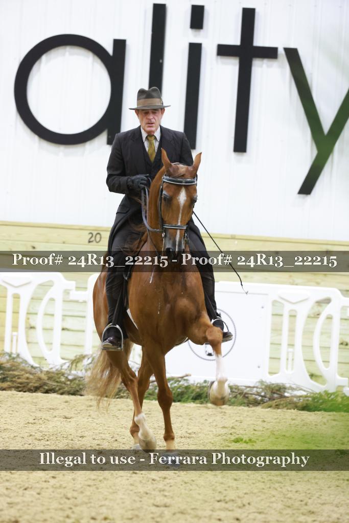 Proof 24R13_22215