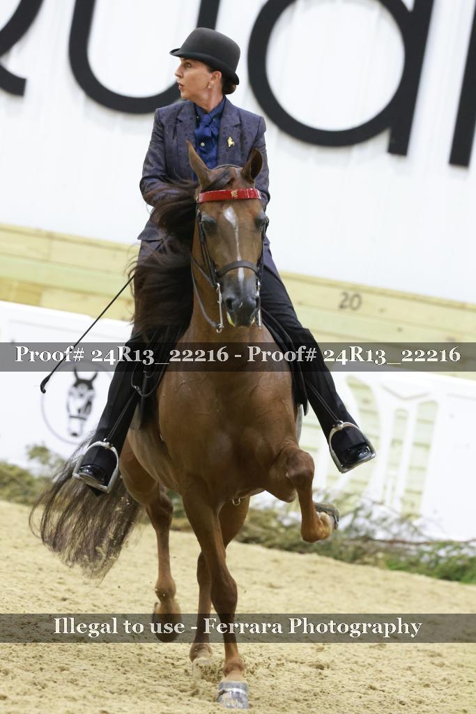 Proof 24R13_22216