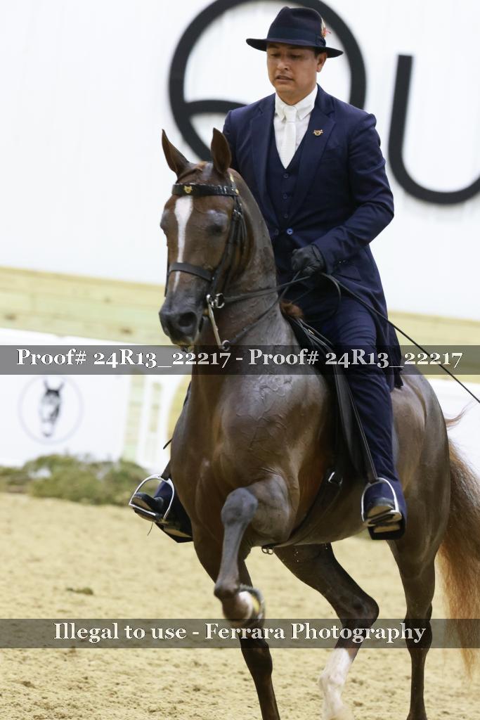 Proof 24R13_22217