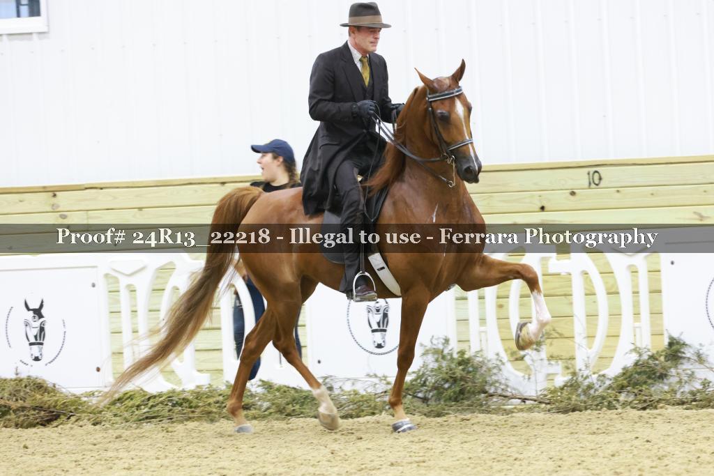Proof 24R13_22218