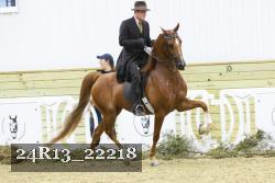 24R13_22218 proof