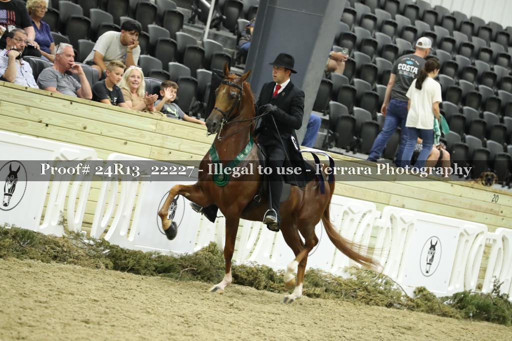 Proof 24R13_22227